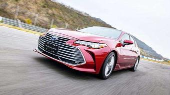 亚洲龙恶搞视频,笑翻网友的创意搞笑瞬间